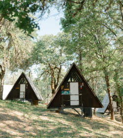 cabins camp